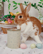 Be Hoppy - Embossed Roll