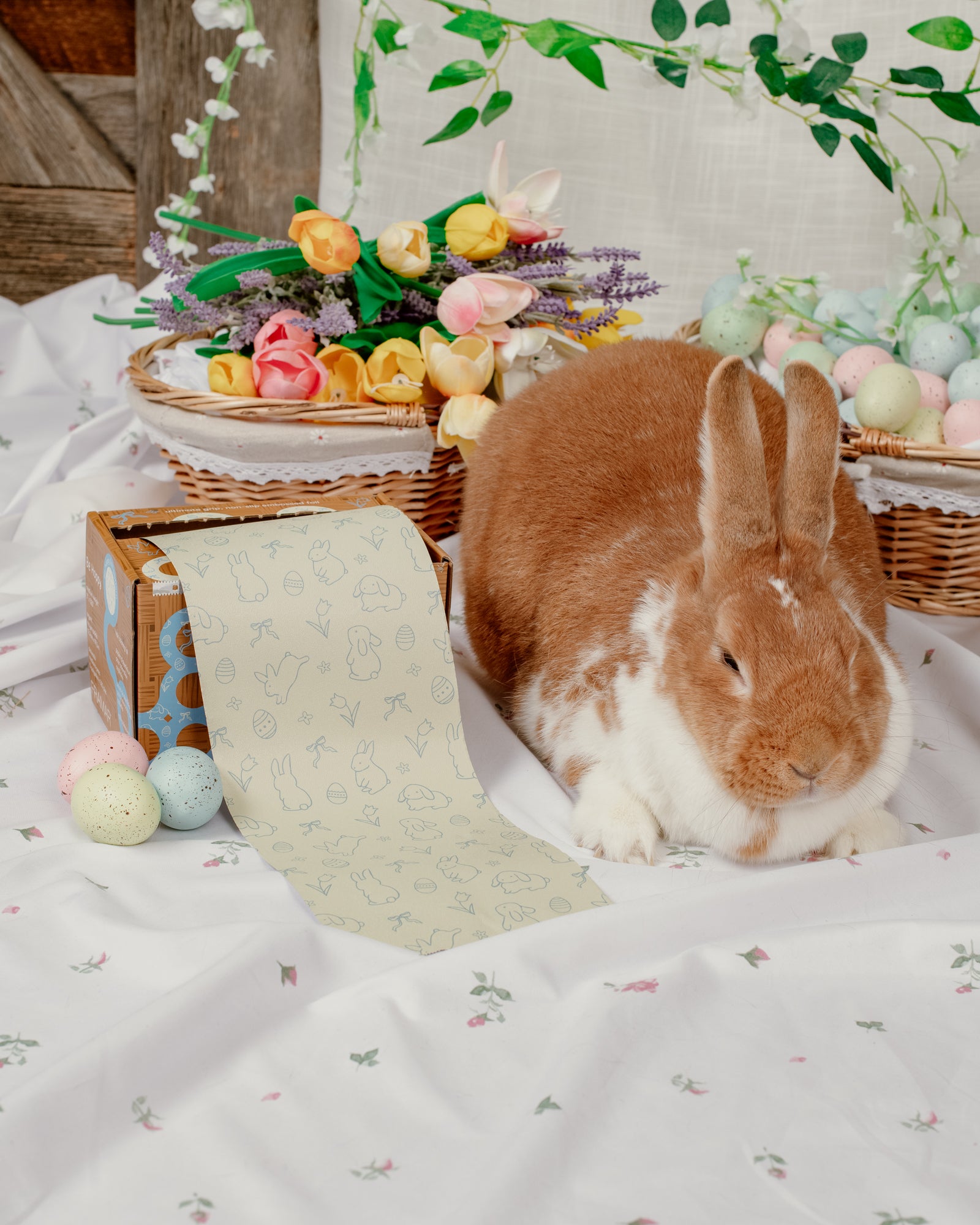 Be Hoppy – Framar
