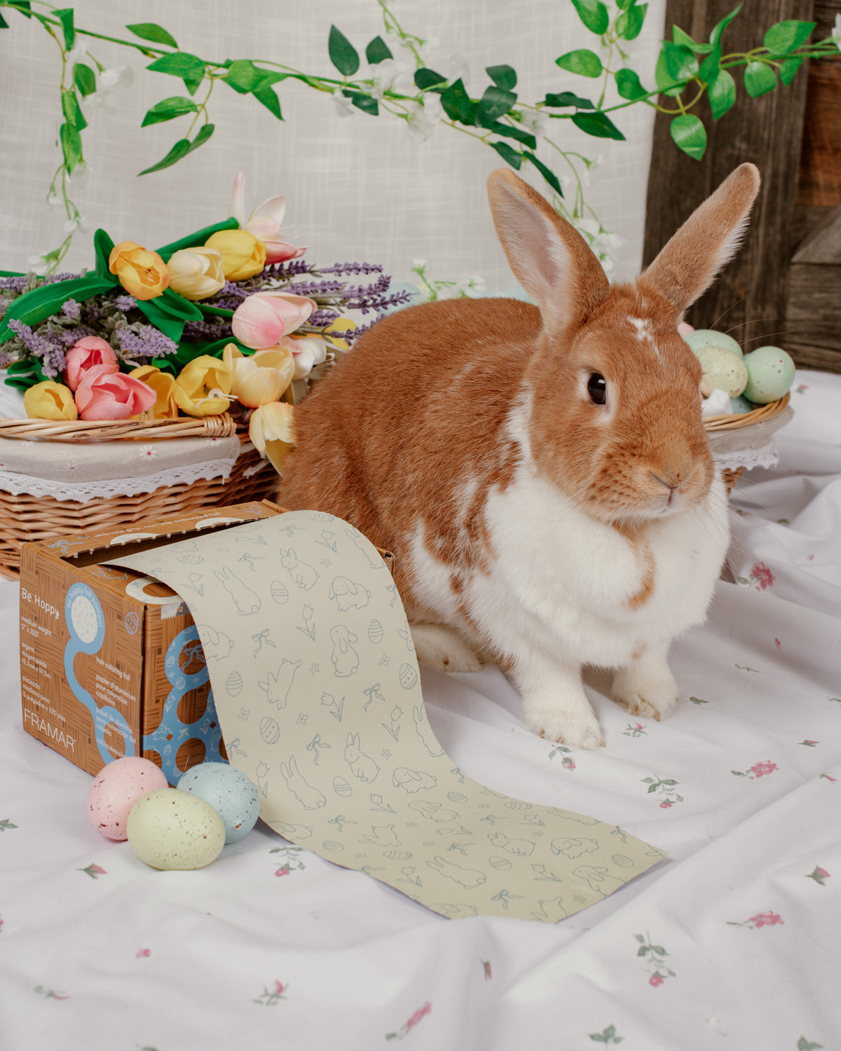 Be Hoppy - Embossed Roll