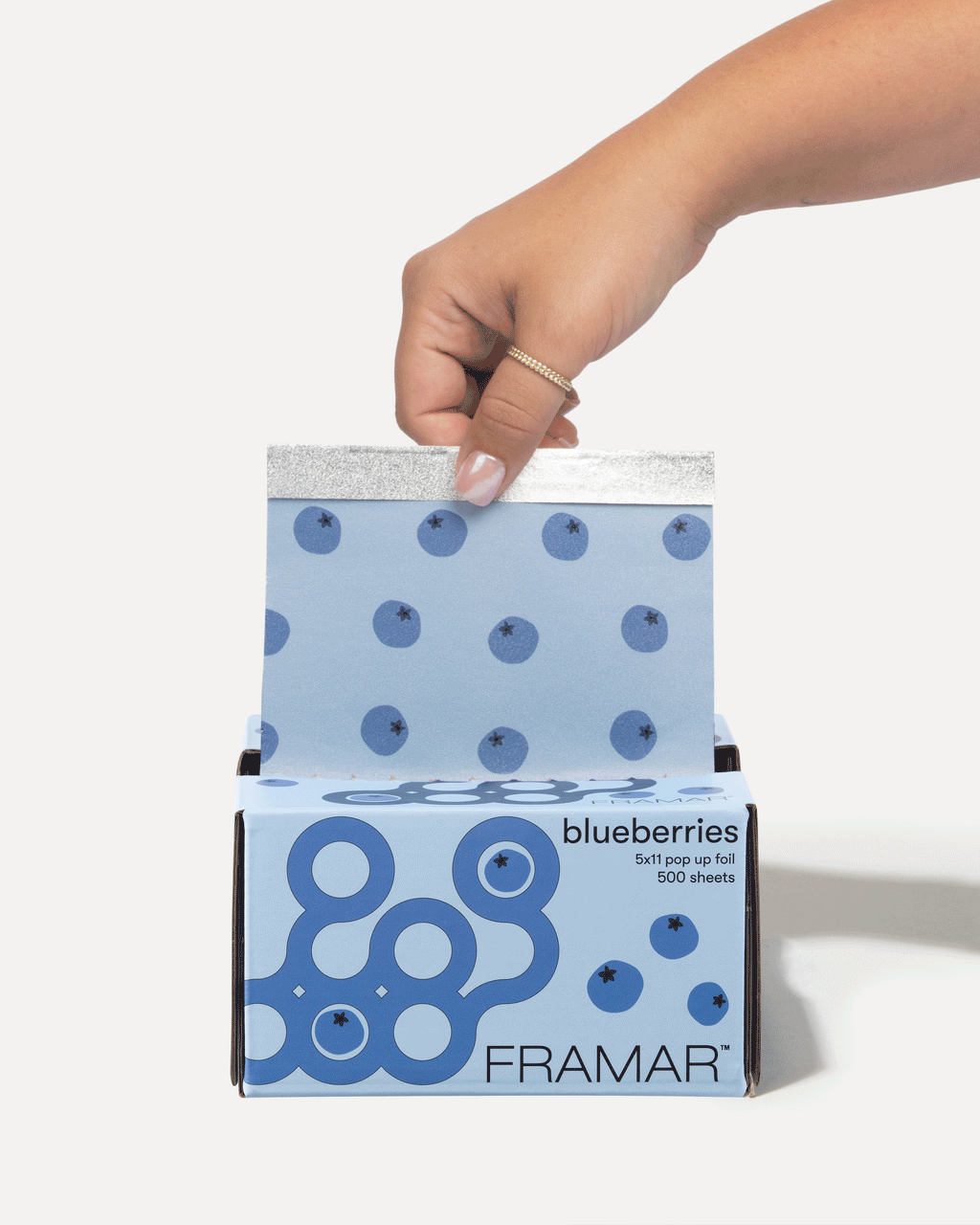 Blueberries - Pop Up