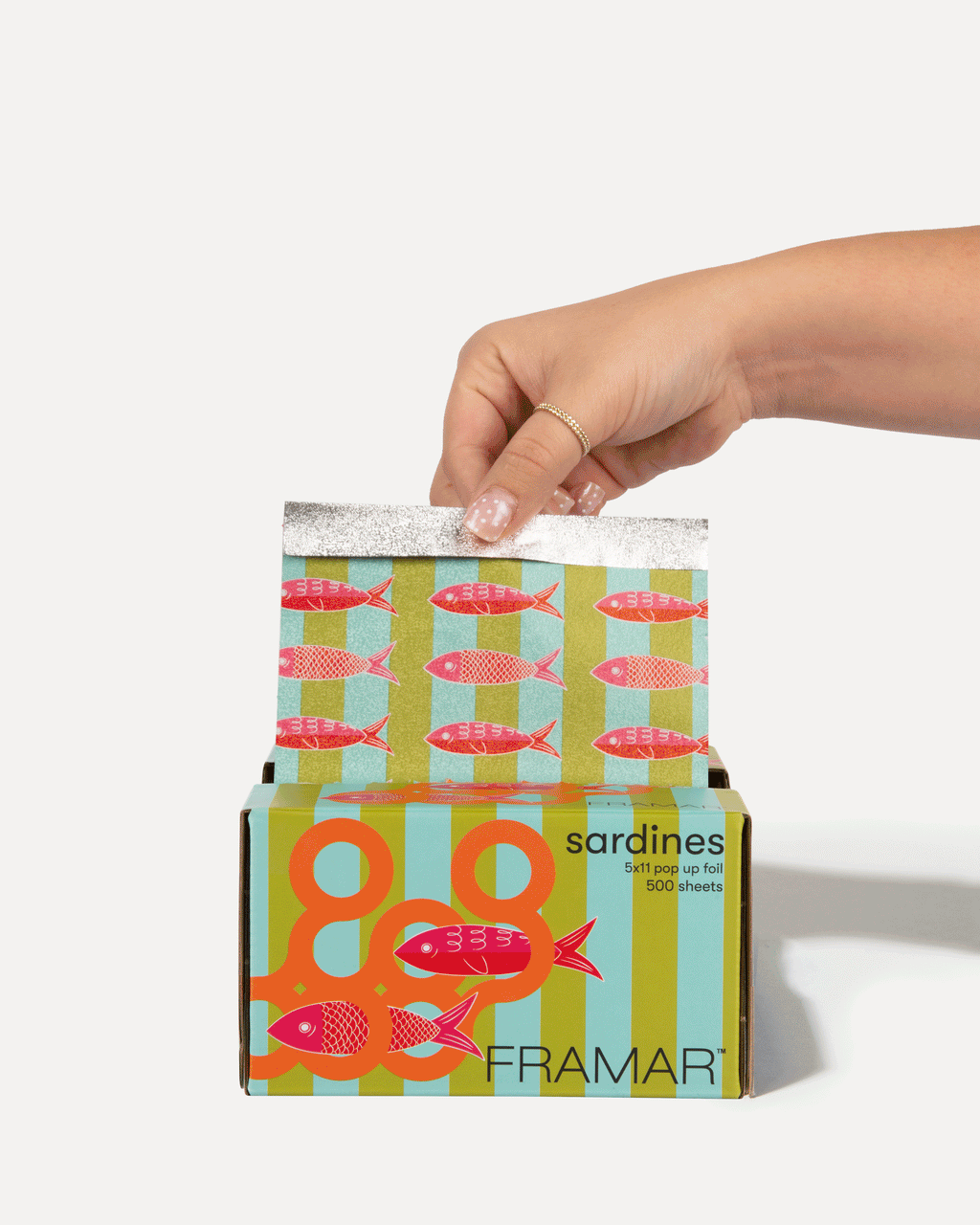 5x11 Pop Up - Multicolored Sardine
