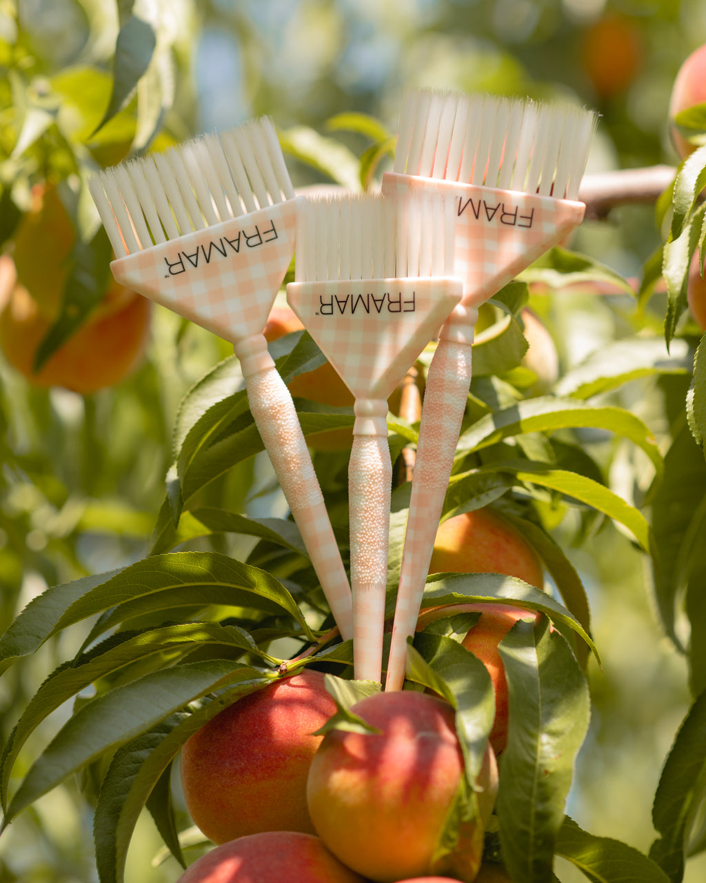 Peach Please - 3PC Big Daddy Brush Set