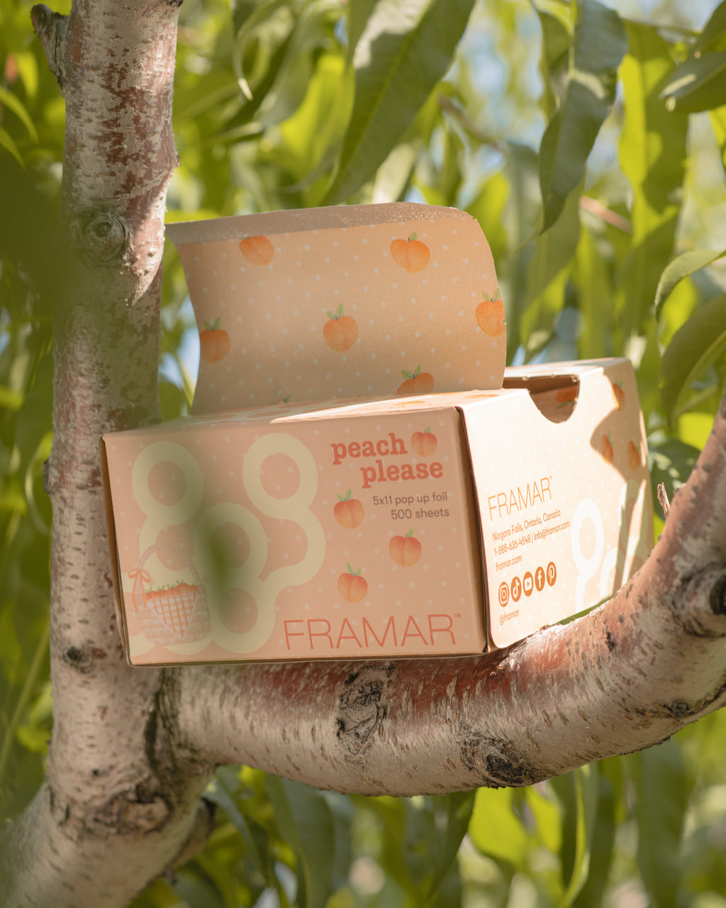 Peach Please - Pop Up