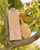 Peach Please - Georgia Detangle Brush