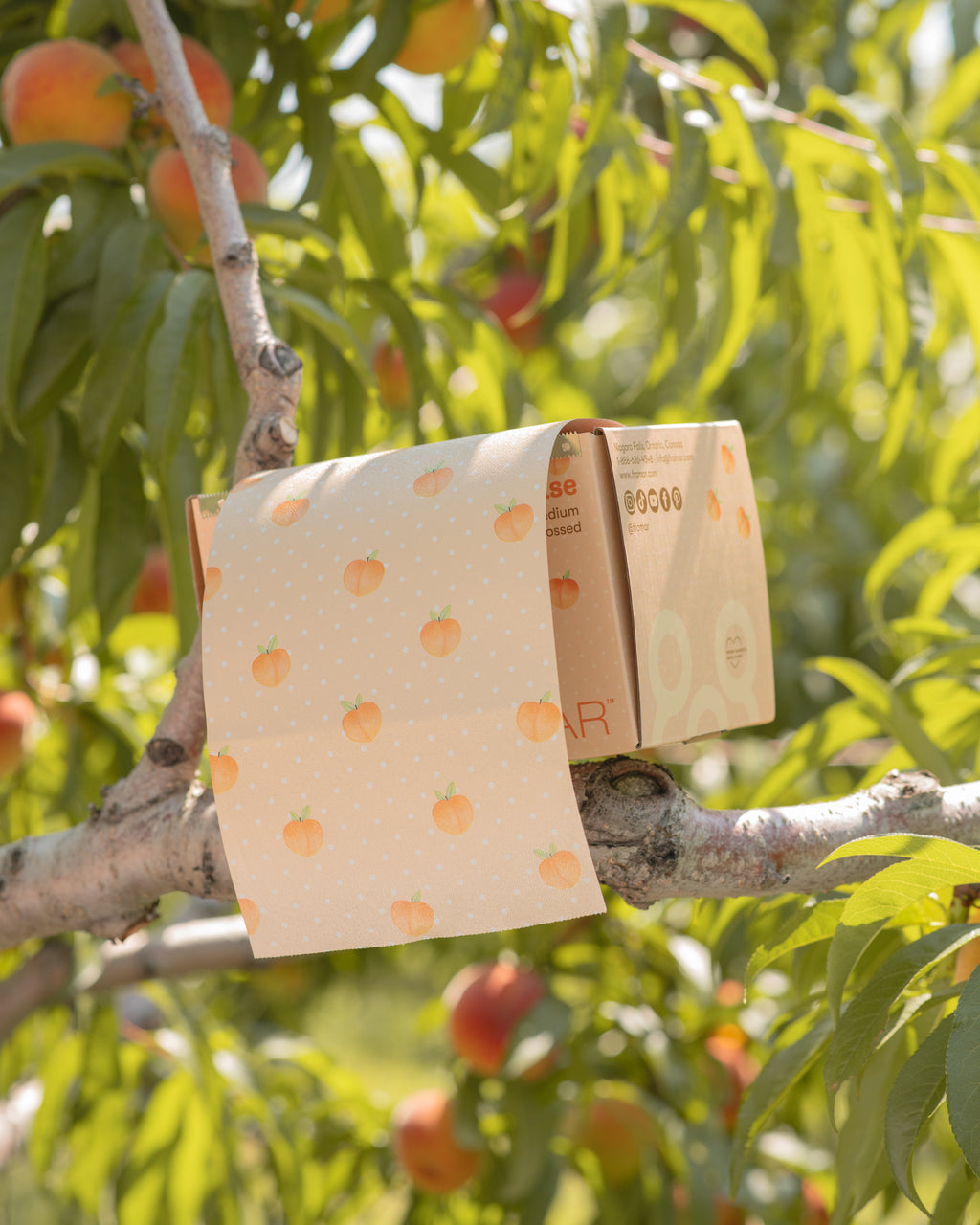 Peach Please - Embossed Roll