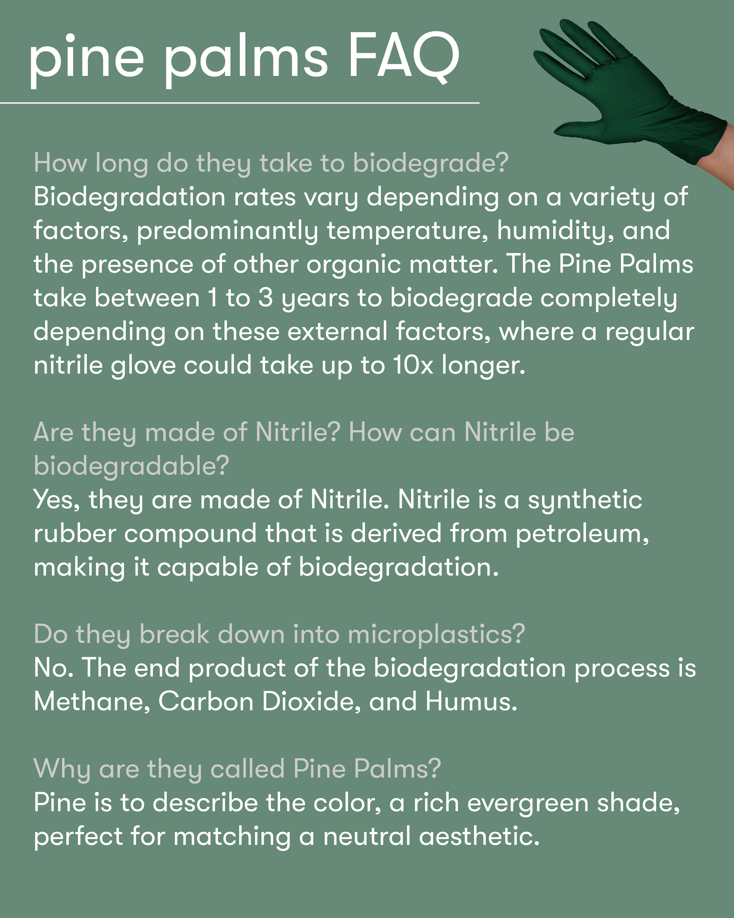 Pine Palms Biodegradable Nitrile Gloves - 100 count